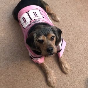 Meet your Posher, Julie